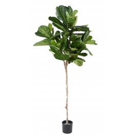 Ficus Lyrata artificiel TIGE 215 CM