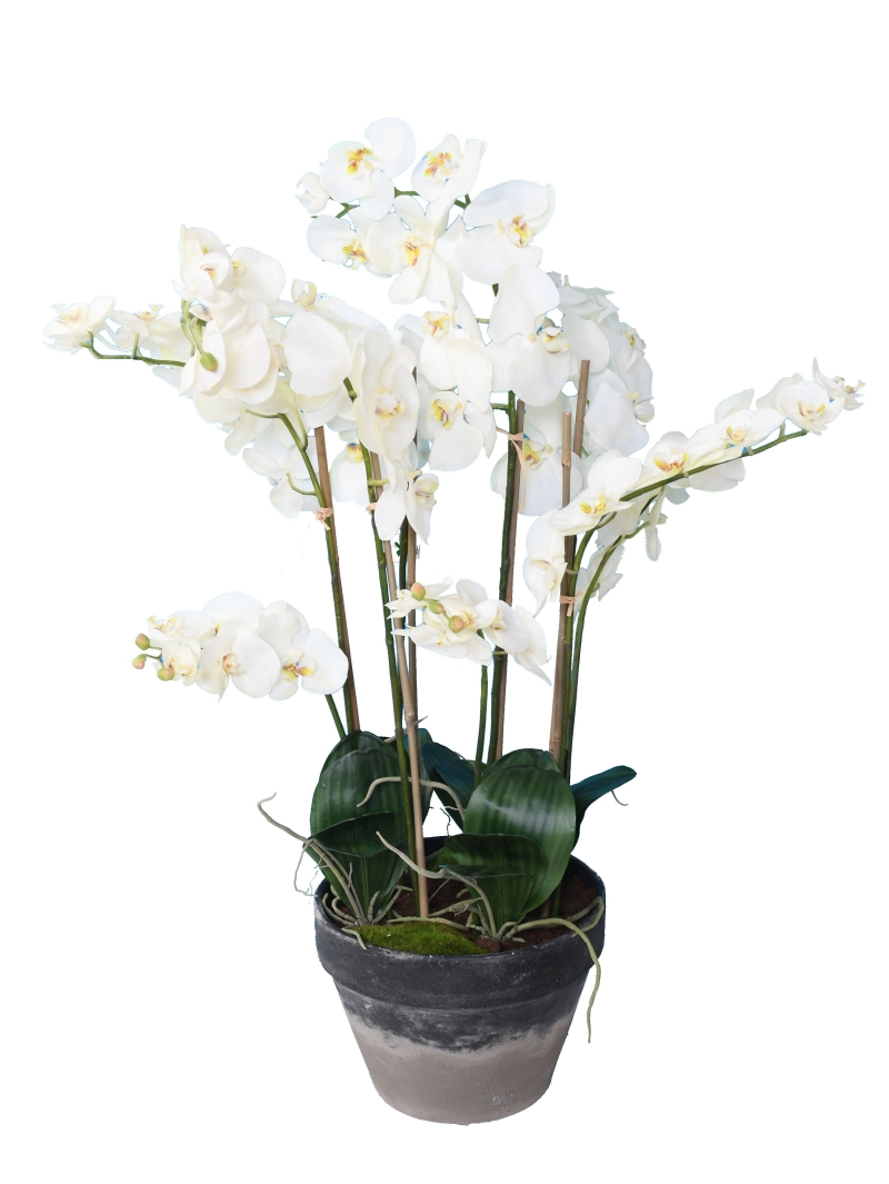 Orchidée artificielle Phalaénopsis 105 cm