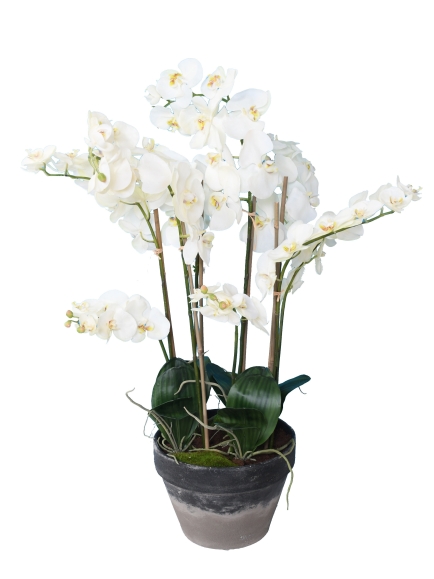 Orchidée artificielle Phalaénopsis 105 cm