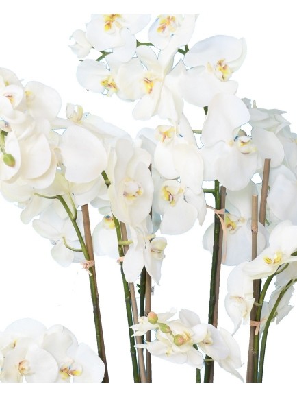 Orchidée artificielle Phalaénopsis 105 cm