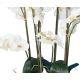 Orchidée artificielle Phalaénopsis 105 cm