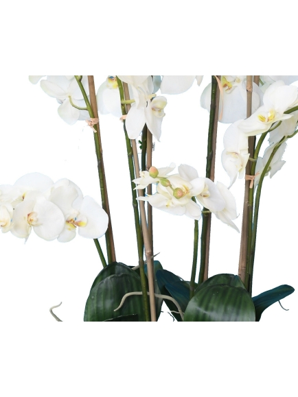 Orchidée artificielle Phalaénopsis 105 cm
