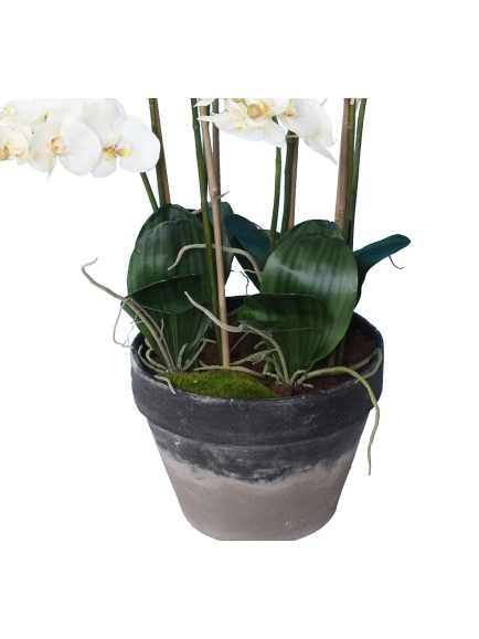Orchidée artificielle Phalaénopsis 105 cm
