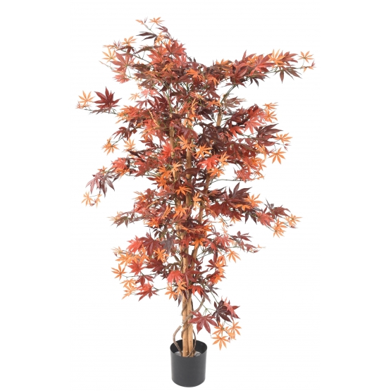 Neuhaus Decor Polyscia bonsaï Arbre Artificiel sans Pot 33 cm