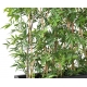 Jardini&egrave;re de Bambou Japanese DENSE artificiel 160 CM