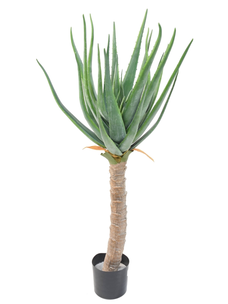ALOEVERA ARTIFICIELLE