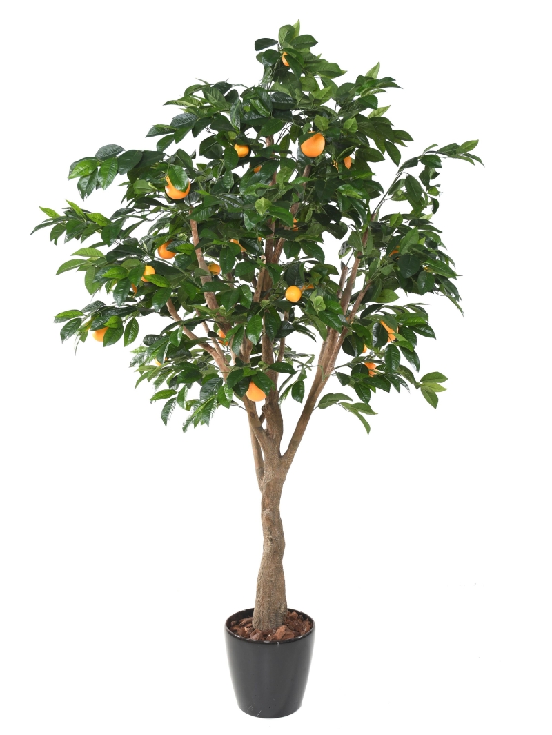 Oranger artificiel 250 cm