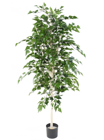 Bouleau artificiel TB