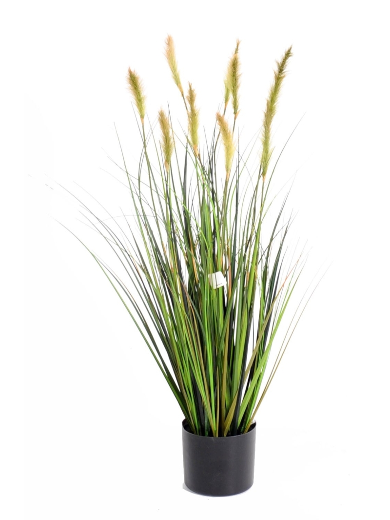 Foxtail artificiel GF