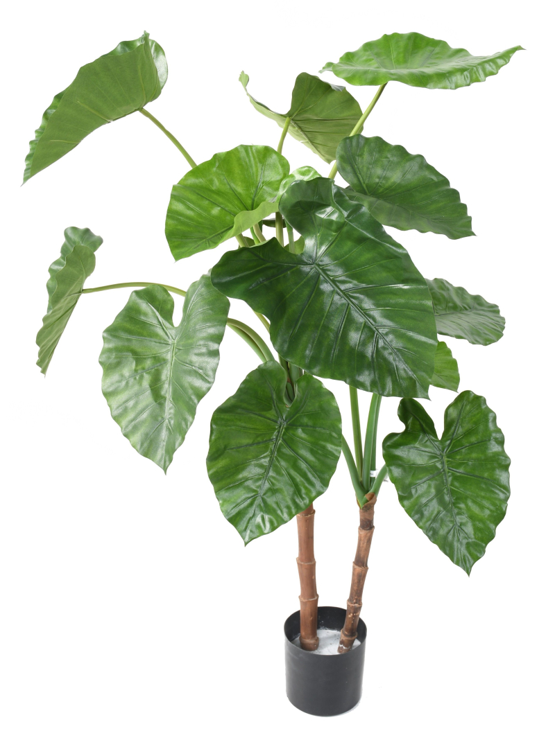 Alocasia artificiel Calidora