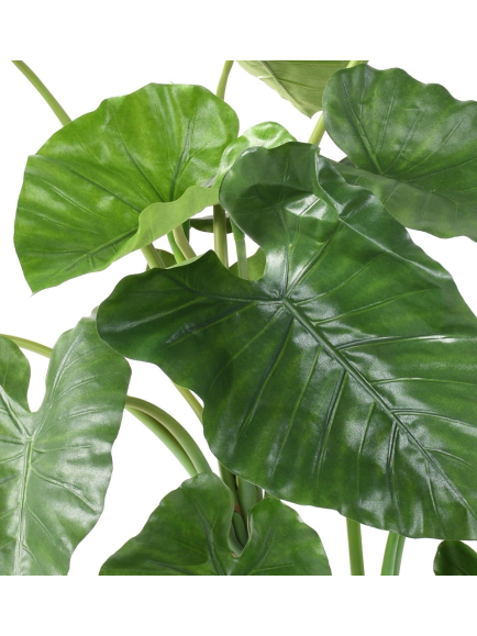 Alocasia artificiel Calidora