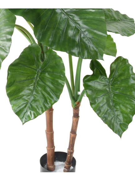 Alocasia artificiel Calidora