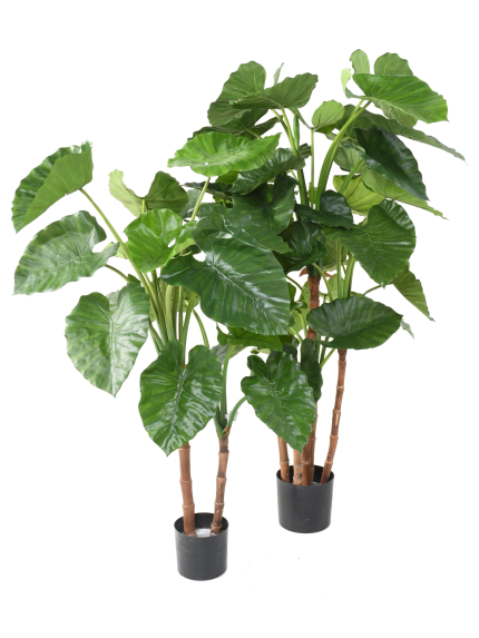 Alocasia artificiel Calidora