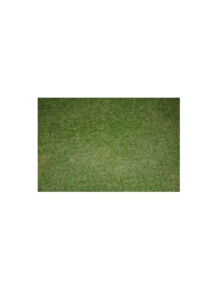 Gazon artificiel herbe fine en plaque 27 par 27 cm