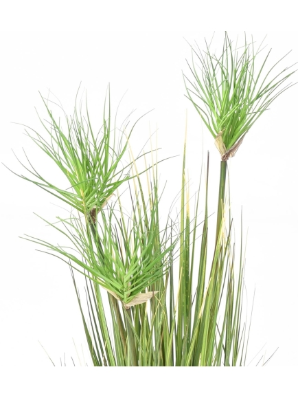 Chrysopognon artificiel graminée