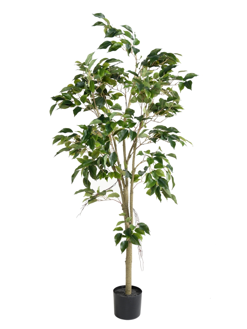 Ficus artificiel 150 cm