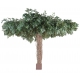 Ficus artificiel liane Umbrella