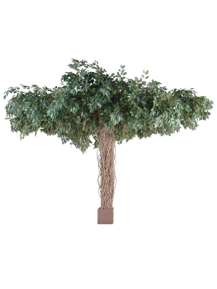 Ficus artificiel liane Umbrella