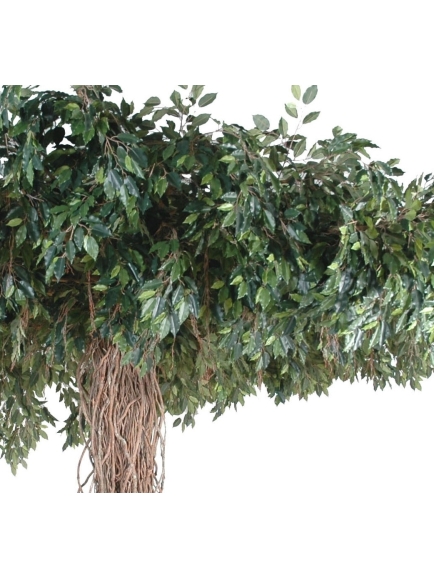 Ficus artificiel liane Umbrella