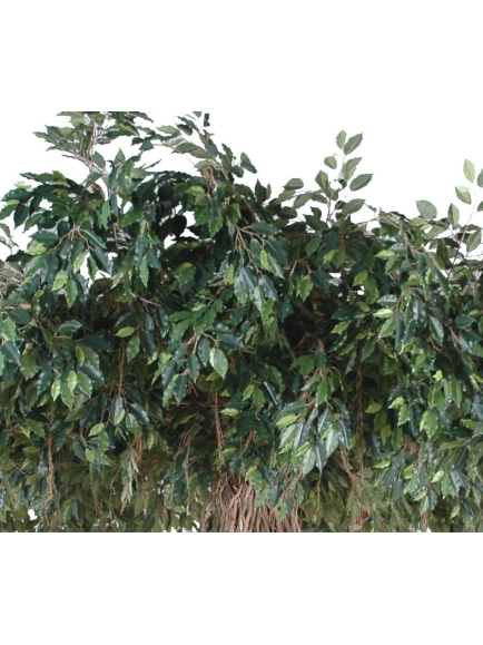 Ficus artificiel liane Umbrella