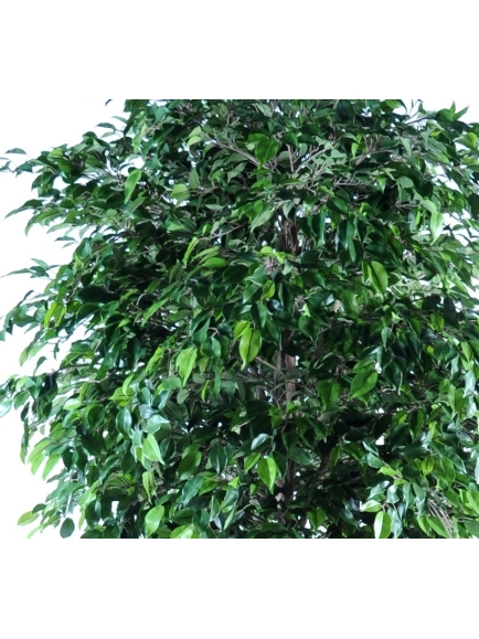 Ficus artificiel Natasja Tree