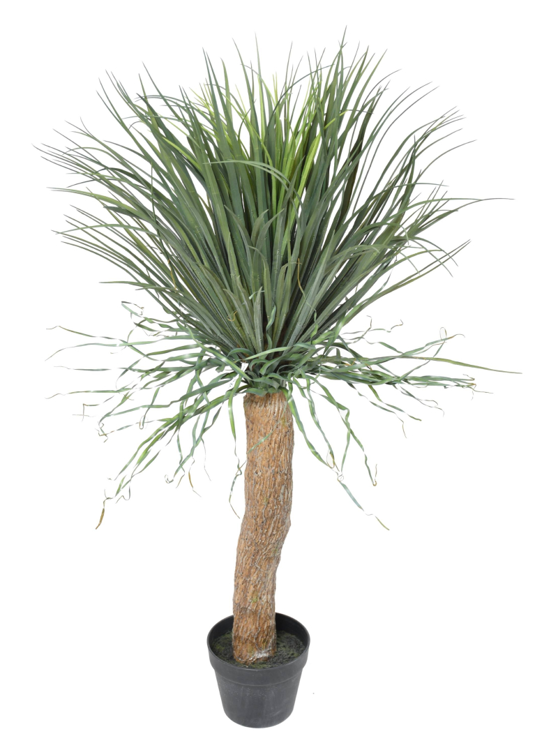 Beaucarnéa Artificiel Recurvata
