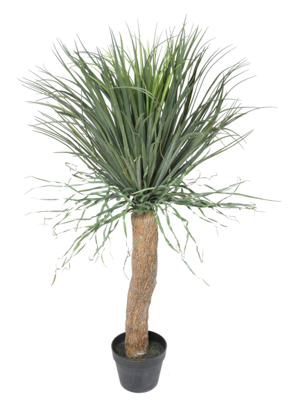 Beaucarnéa Artificiel Recurvata