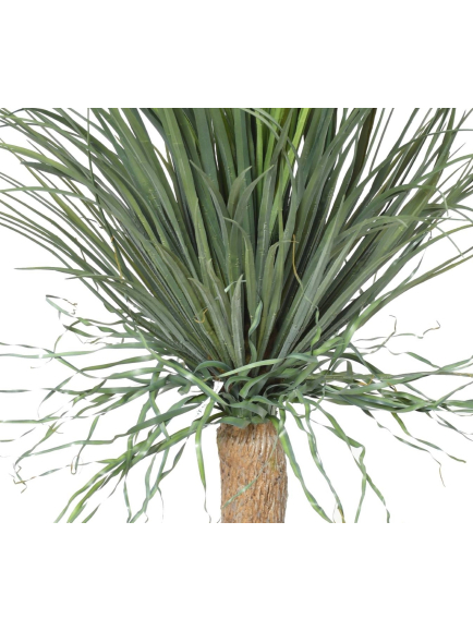 Beaucarnéa Artificiel Recurvata