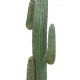 Cactus Artificiel Mexico GR