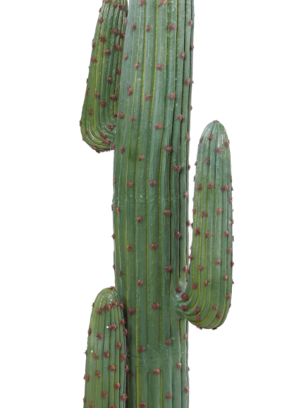 Cactus Artificiel Mexico GR