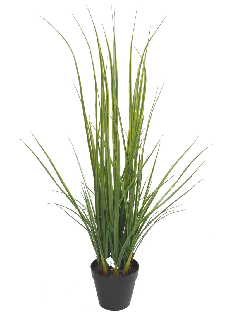 Lemon grass artificielle