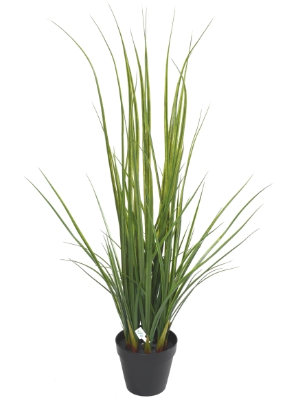 Lemon grass artificielle