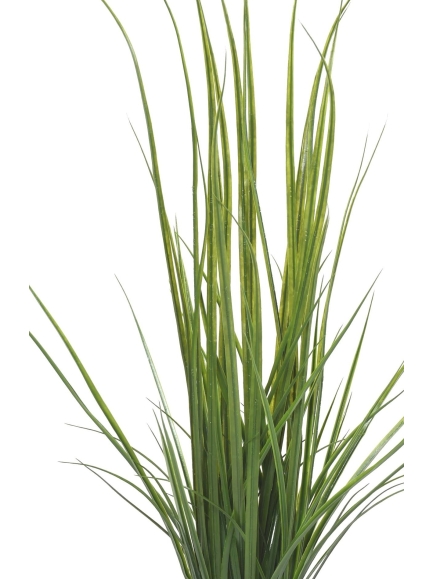 Lemon grass artificielle