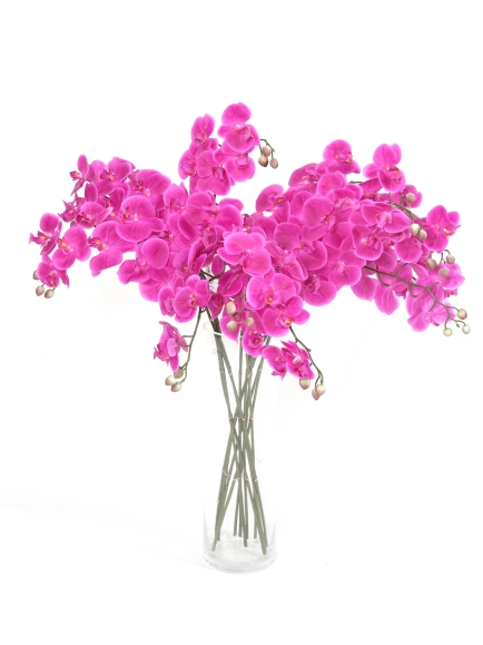 Phalaénopsis tige artificielle