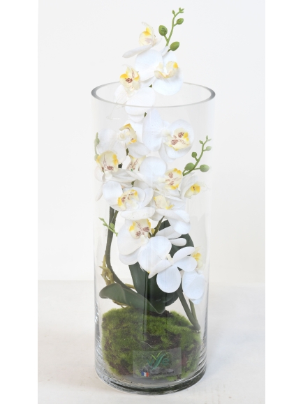 Composition Orchidée artificielle en vase