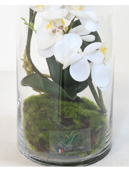 Composition Orchidée artificielle en vase