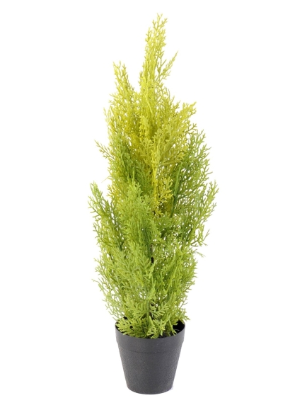 Cyprès artificiels ANTI UV