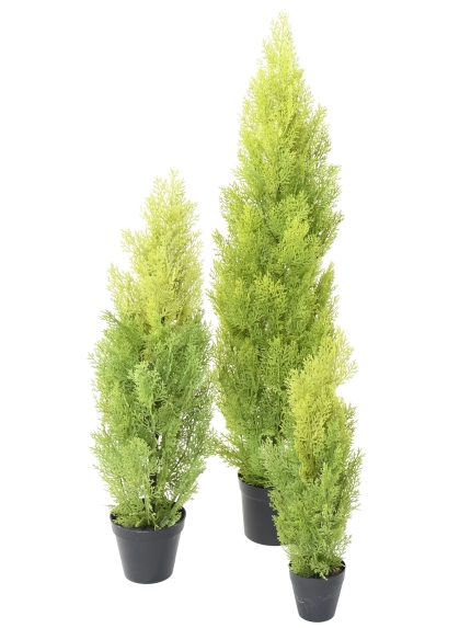 Cyprès artificiels ANTI UV