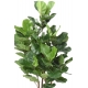 Ficus Lyrata artificiel Buisson