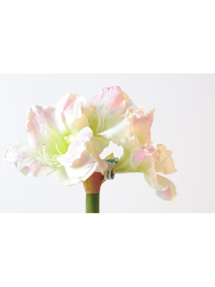 Amaryllis tige artificiel