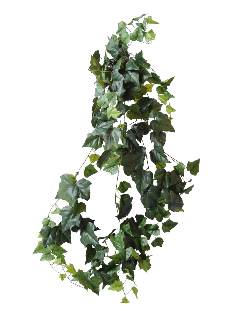Lierre artificiel grandes feuilles