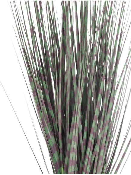 Graminée Miscanthus Zebrina artificielle