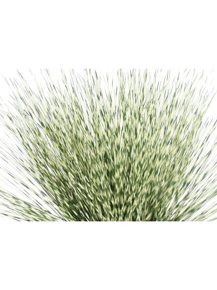 Graminée artificielle Miscanthus Zebrina rond