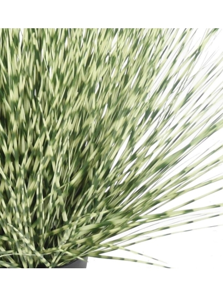 Graminée artificielle Miscanthus Zebrina rond