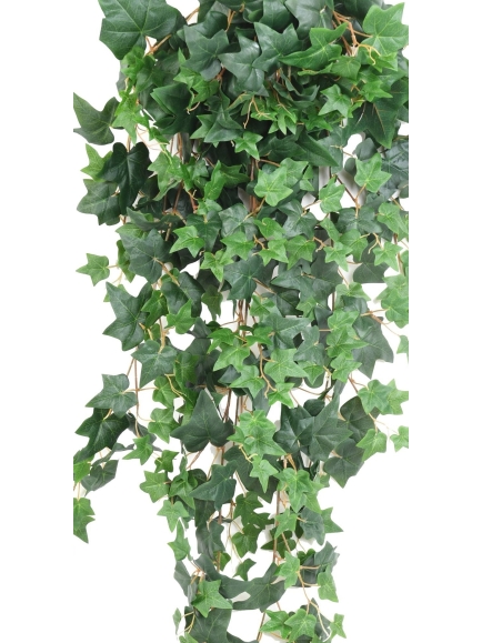 Chutes artificielles de Lierre ou Pothos