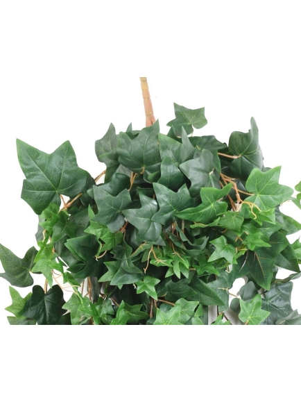 Chutes artificielles de Lierre ou Pothos