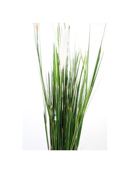 Carex vulpina artificiel 170 cm 