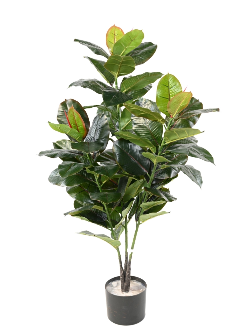 Ficus artificiel (Rubber tree)