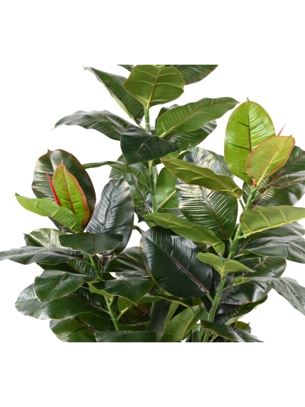 Ficus artificiel (Rubber tree)