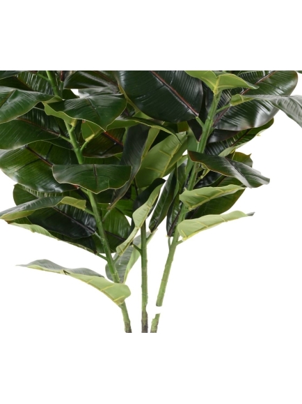 Ficus artificiel (Rubber tree)